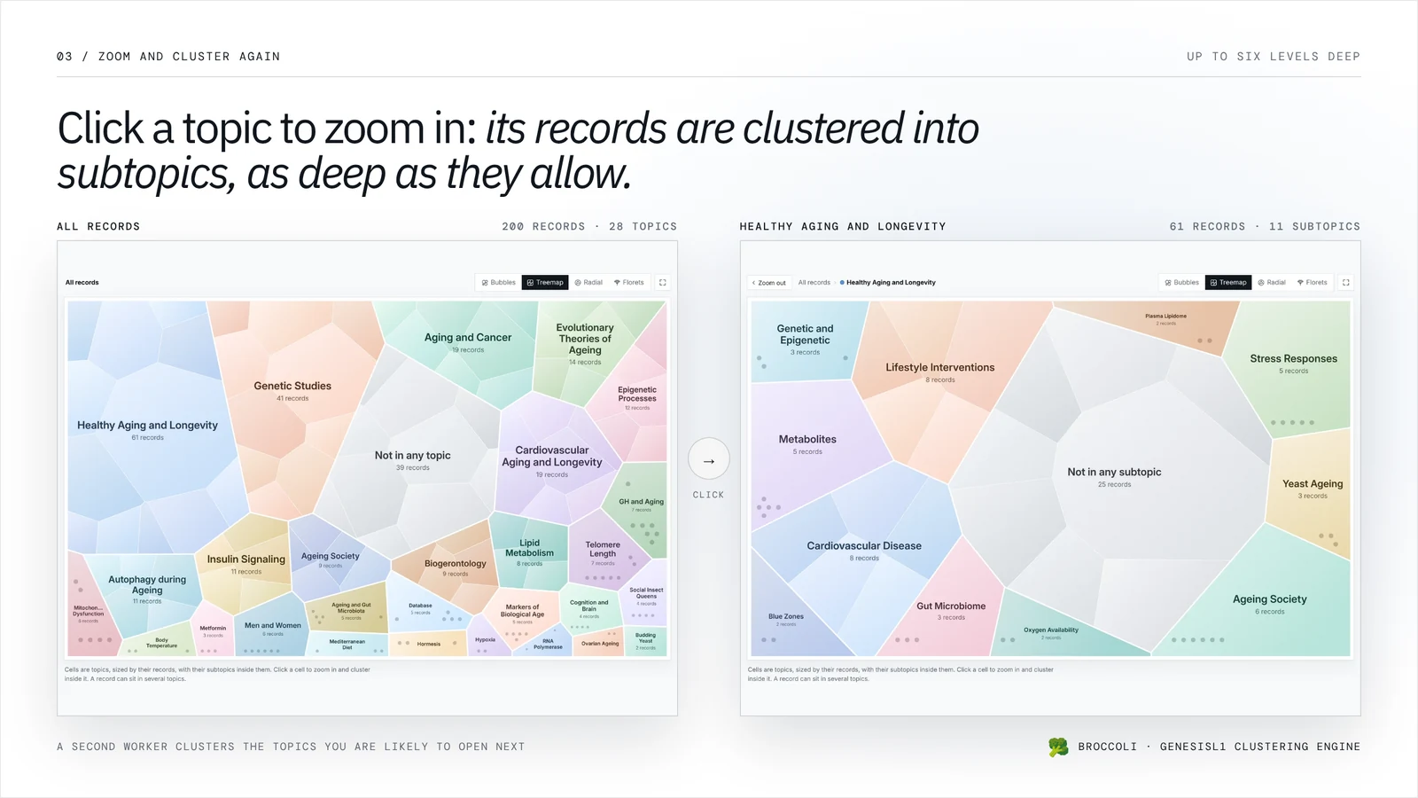 Zooming in: on the left the treemap of all 200 records in 28 topics, on the right the topic Healthy Aging and Longevity, its 61 records clustered again into 11 subtopics