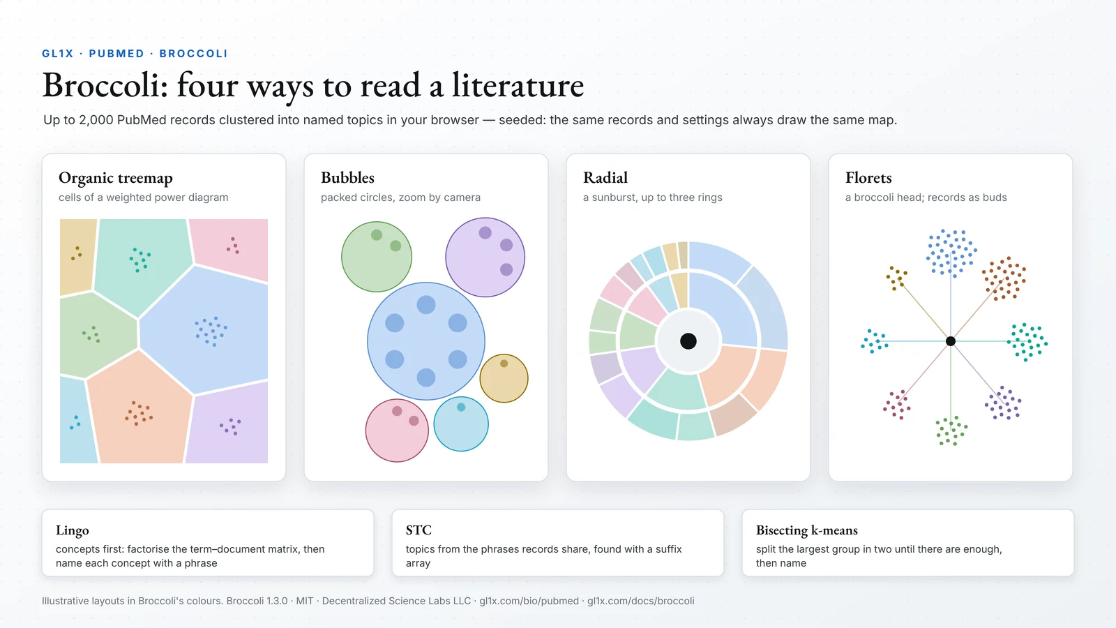 Infographic of Broccoli's four maps: organic treemap, bubbles, radial sunburst and florets, with the three clustering algorithms Lingo, STC and bisecting k-means