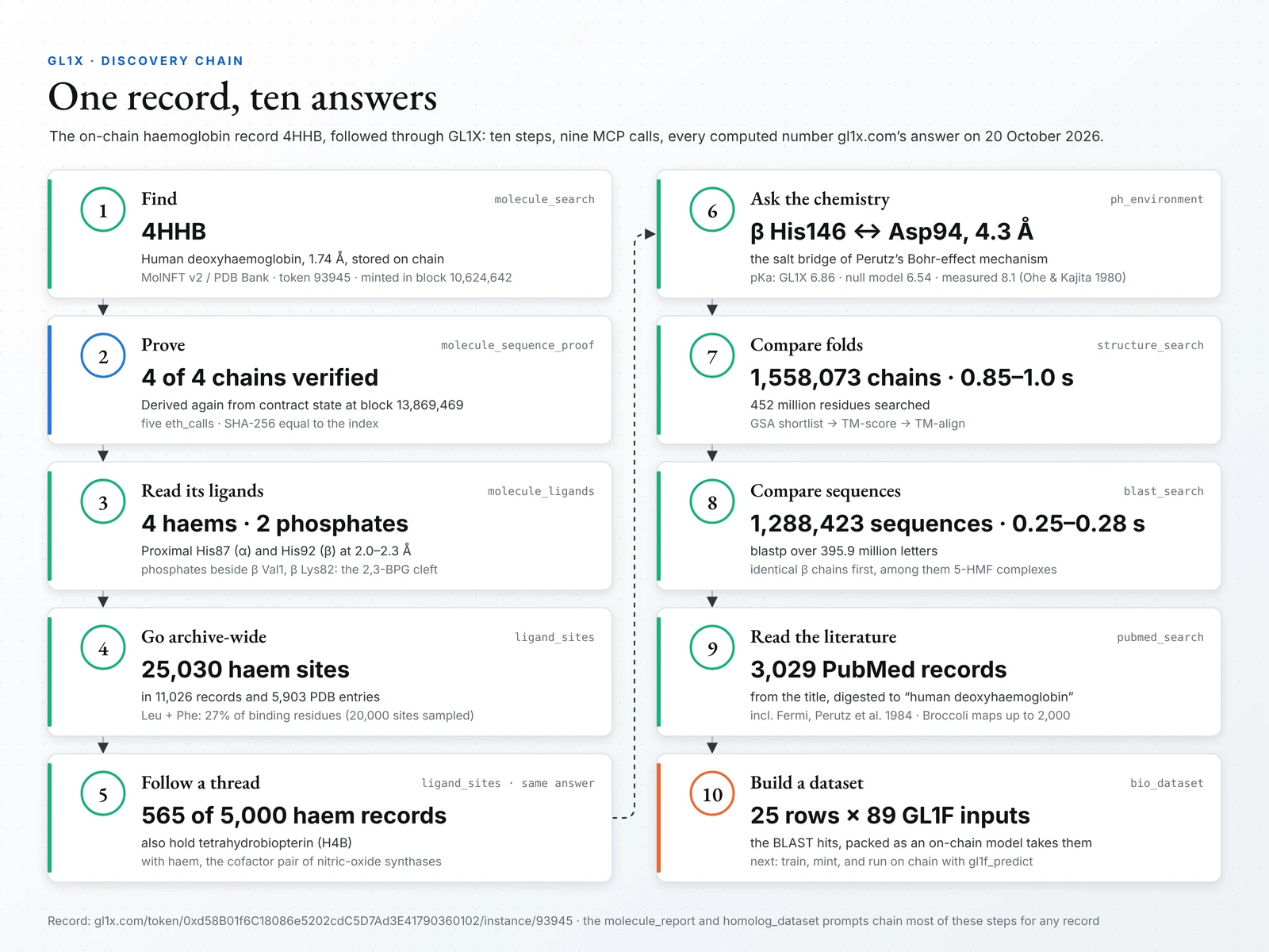 Infographic: ten connected steps from the on-chain haemoglobin record 4HHB — proof, ligands, haem sites across the archive, tetrahydrobiopterin, pH, structure search, BLAST, PubMed, and a GL1F dataset — with the numbers gl1x.com returned